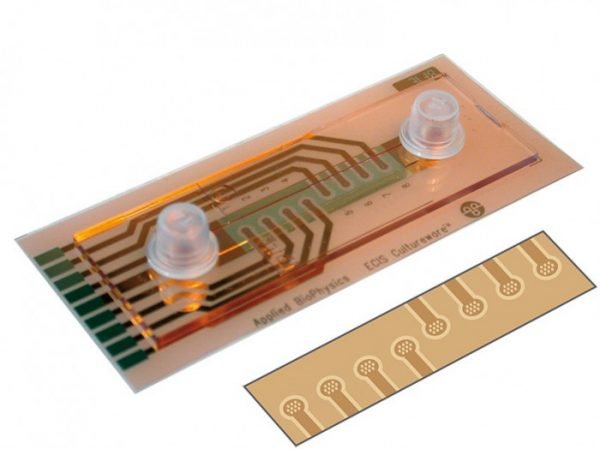 ECIS Flow Array 1 Channel µ-Slide with 8x10E (1F8x10E) PC