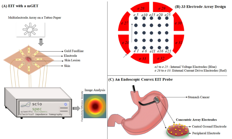 A diagram showcasing Electrical Impedance Tomography (EIT) for skin lesion assessment, with voltage measurements captured by the Sciospec EIT system for real-time image reconstruction.